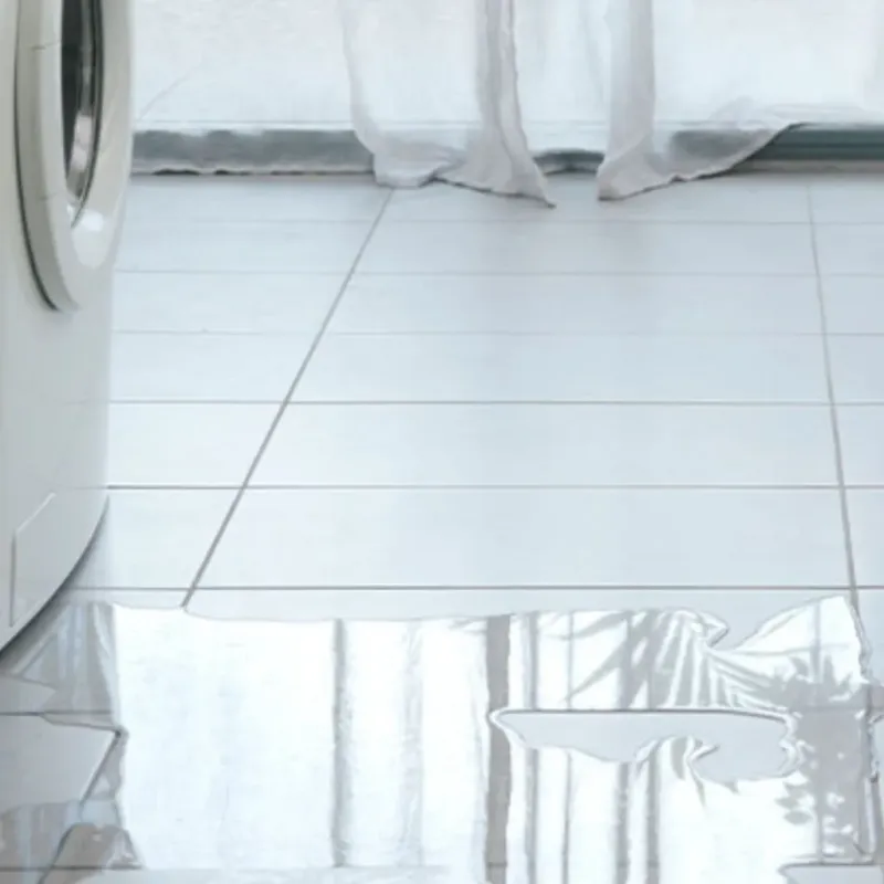 Appliance Leak Cleanup in Manteno, IL