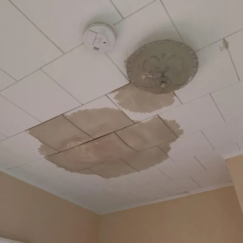 Ceiling Water Damage Repair in Manteno, IL
